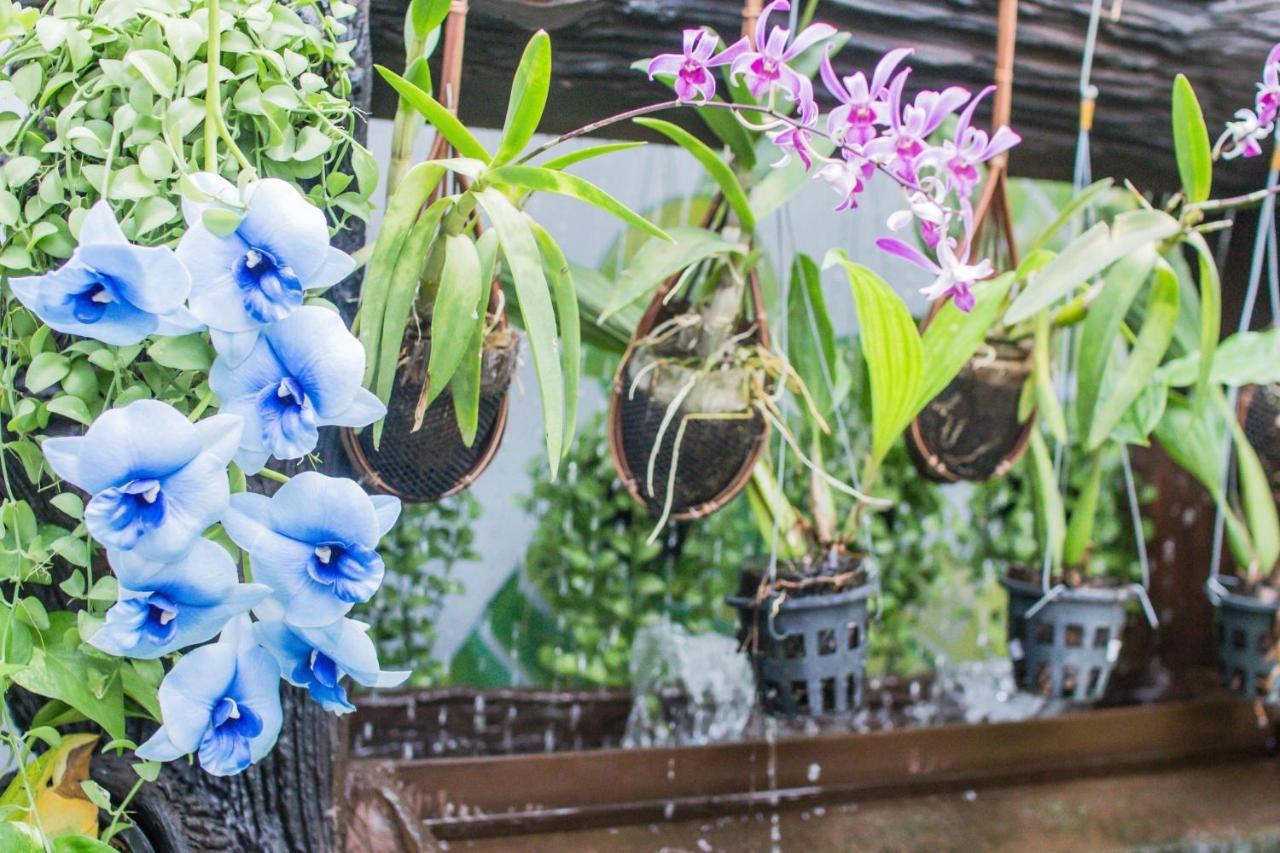 Villa Siam & Spa Bangkok Eksteriør billede